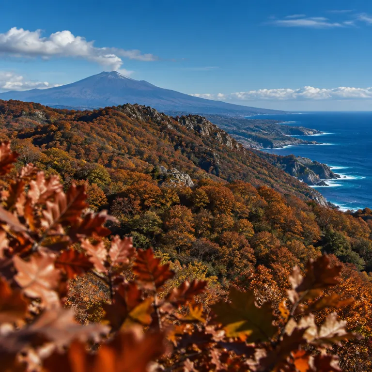 Sicily in russet: where to find autumn colour on Etna and in the Nebrodi